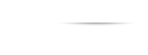 Bruna Pires Advogada